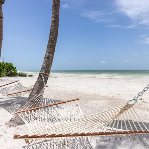 hammock between two palm trees on a white-sand beach