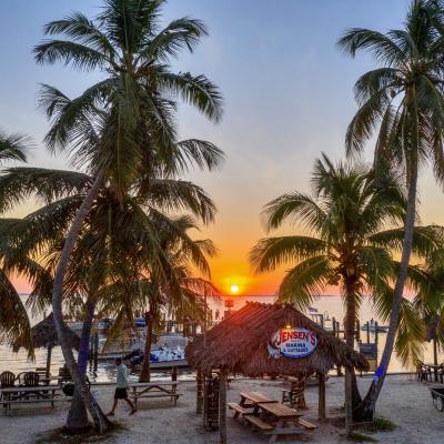 palm trees and sun setting behind tiki bar at Jensen's Marina on Captiva Island